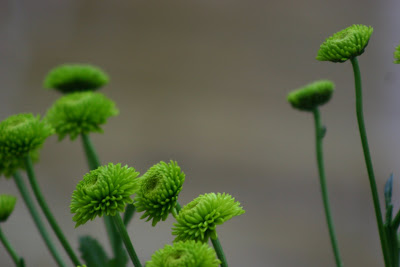 green flowers