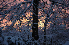 Morning Sunrise on the snow