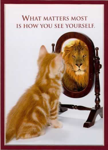 Mirror,+cat+reflected+as+lion.jpg