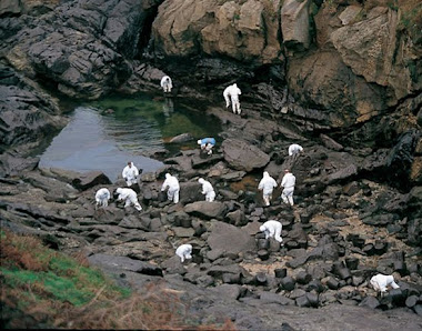 aguas contaminadas