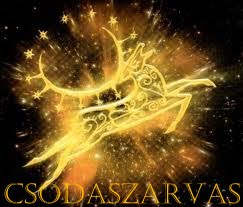 Csodaszarvas