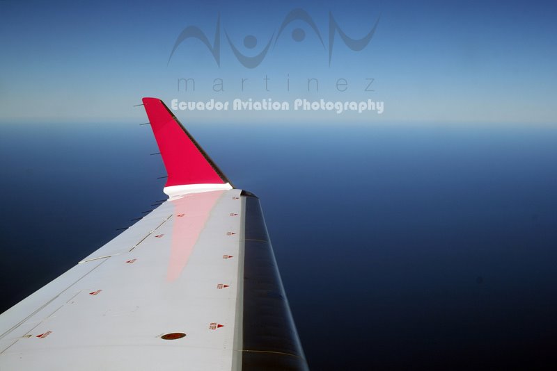 [WINGLET.jpg]