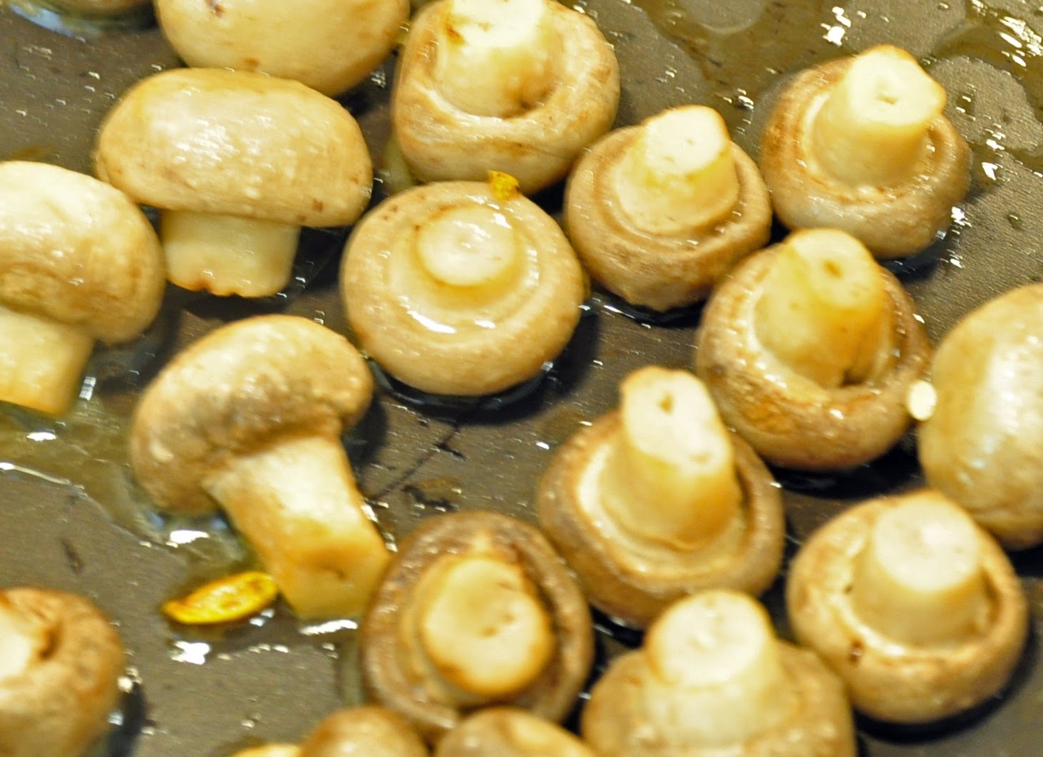 [Champignons+au+blanc.JPG]