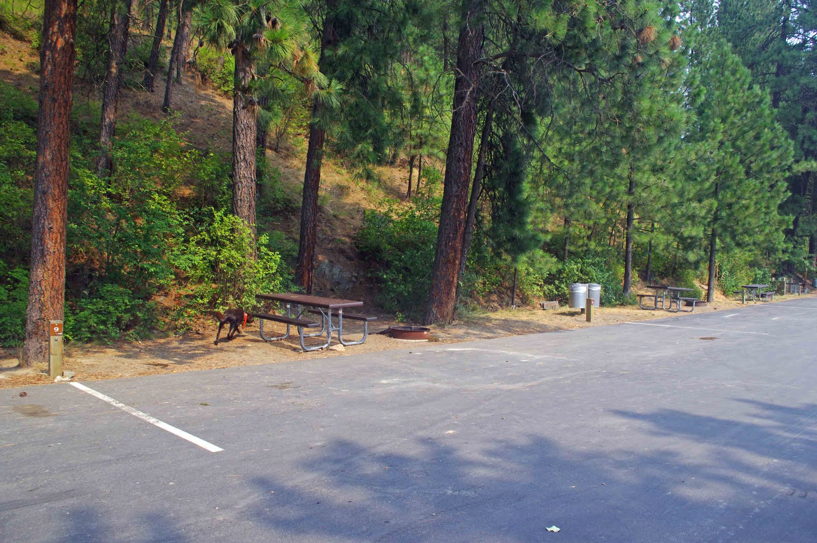 usbackroads™ Lower Coeur d'Alene River, Idaho