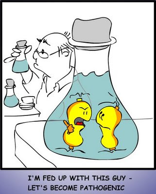 Free Bacteria Cartoons