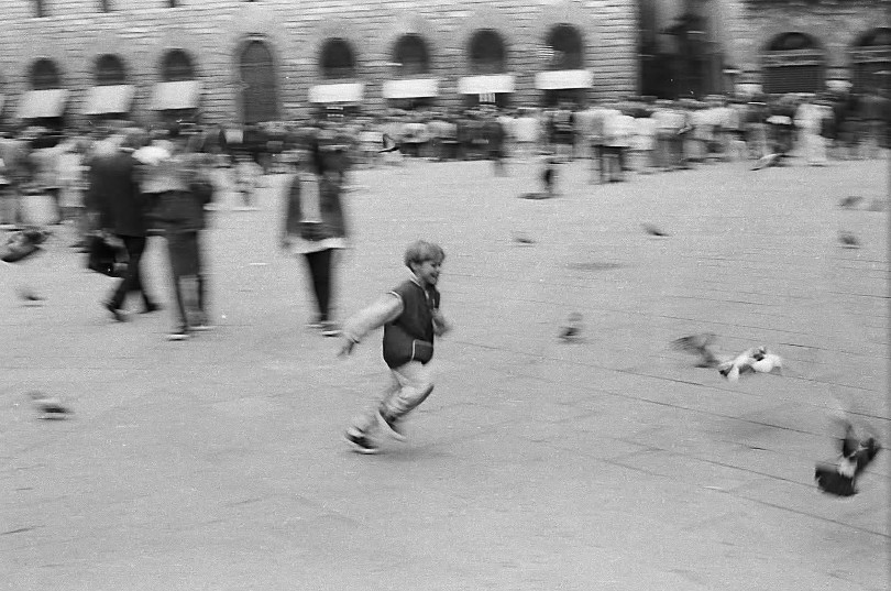 [runningwpigeons.JPG]