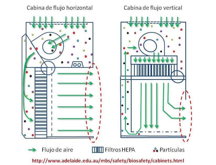 cabinas de flujo laminar bioseguridad las cabinas de flujo laminar no son de cabinas de flujo laminar bioseguridad las cabinas de flujo laminar no son de