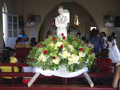 Festa de Nossa Senhora da Salete - 2007
