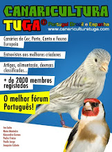 Forum Canaricultura Tuga