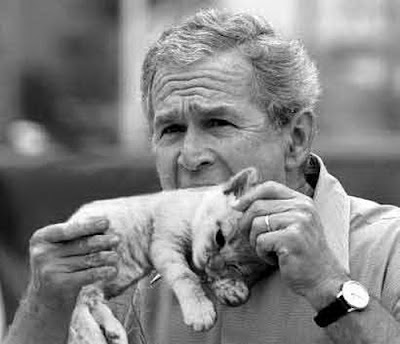 Picture Spam George+bush+eats+a+kitten