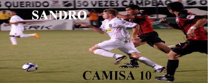 Sandro camisa  10