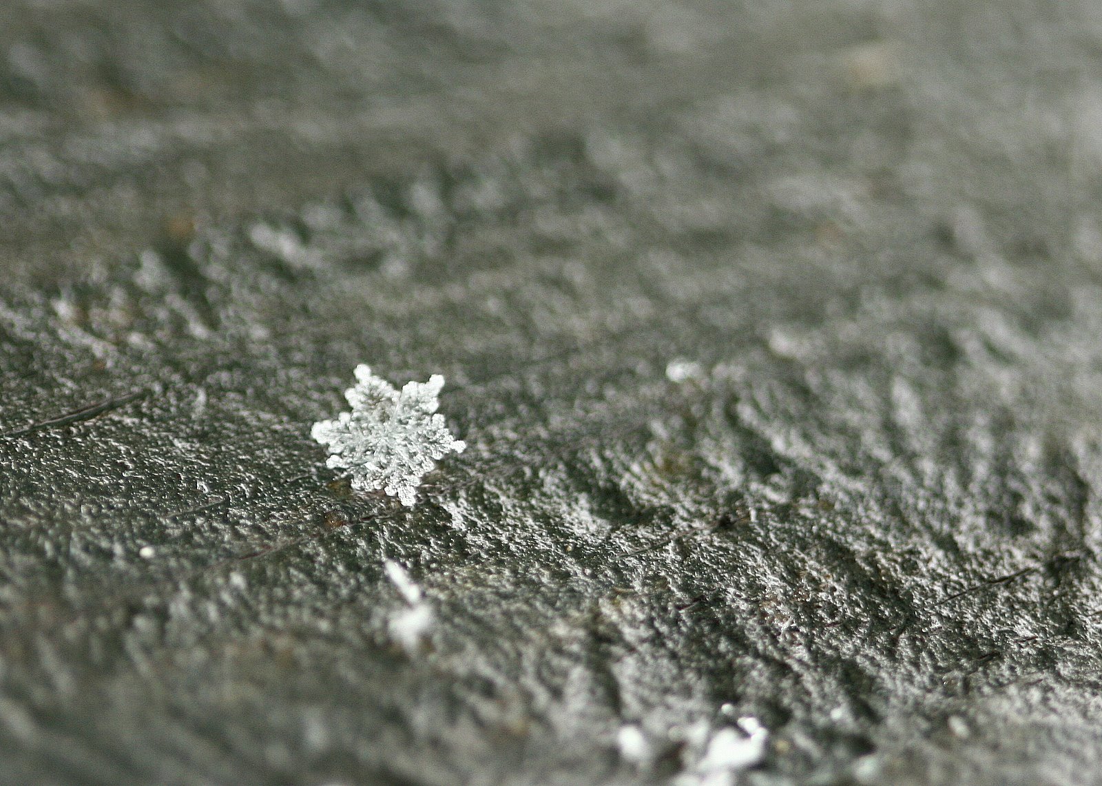 [{032709}+..BEAUTIFUL+DAYS...JPG]
