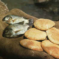 [Loaves fishes tilapia002.jpg]