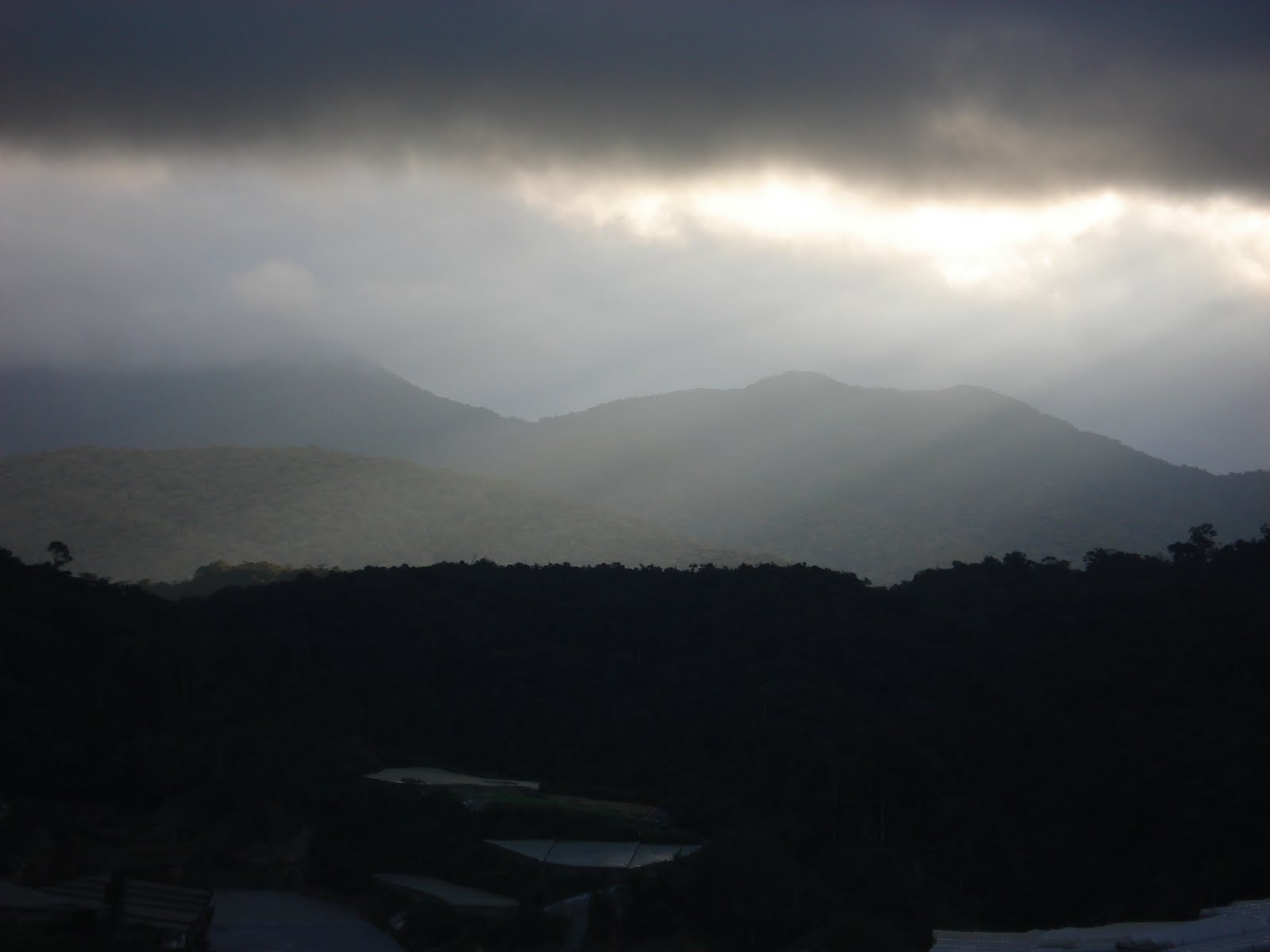 [DSC08549.JPG]