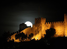 Castle (Castelo de Sao Jorge)