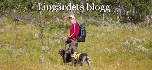 Lingärdets blogg