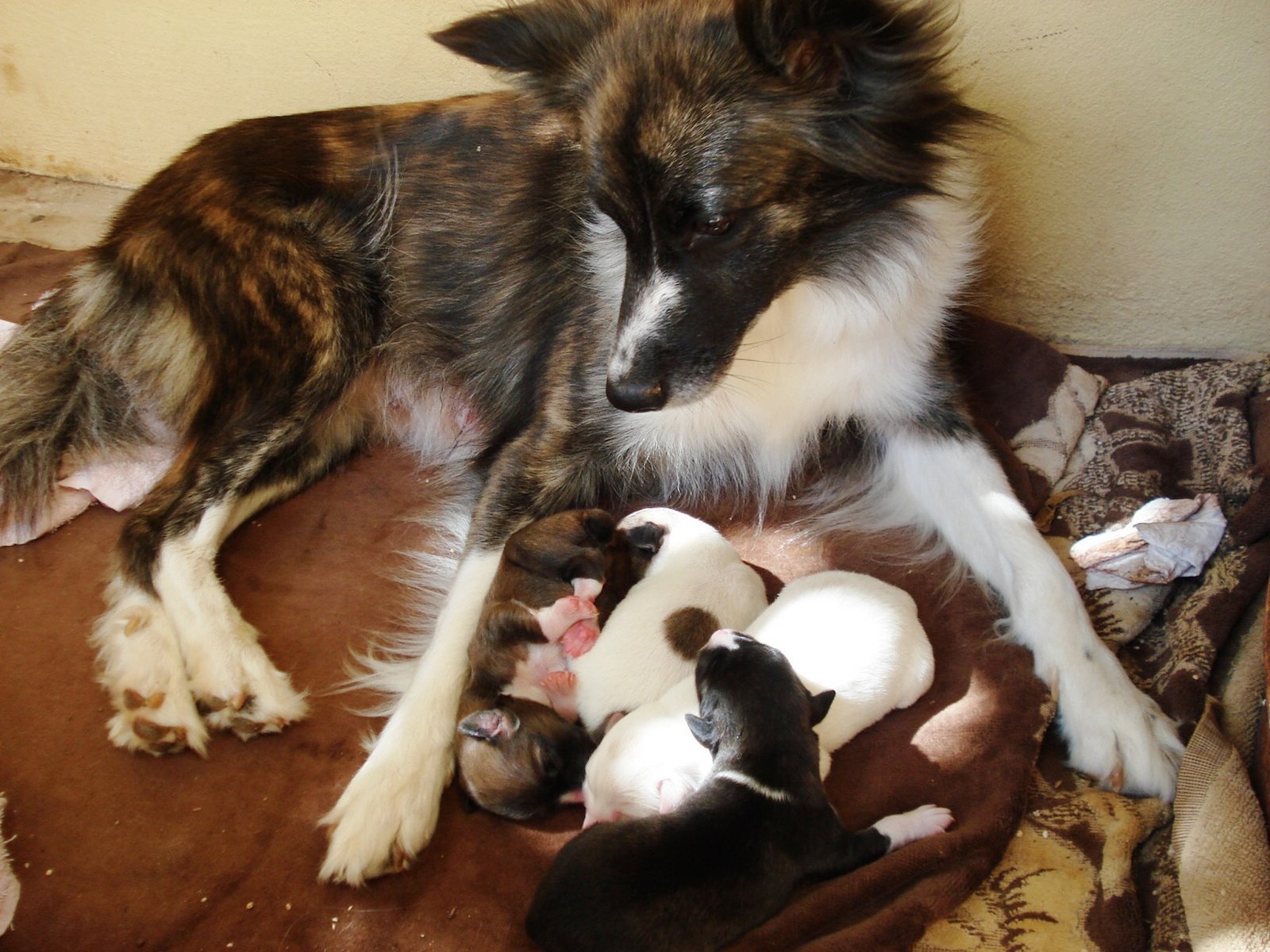 [DSC01644.JPG]