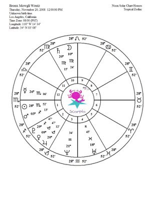 Bronx's Kiddie Star Sign Chart Wheel It's a guesstimate solar chart wheel