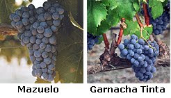 Uvas+Sangre+de+Toro.bmp