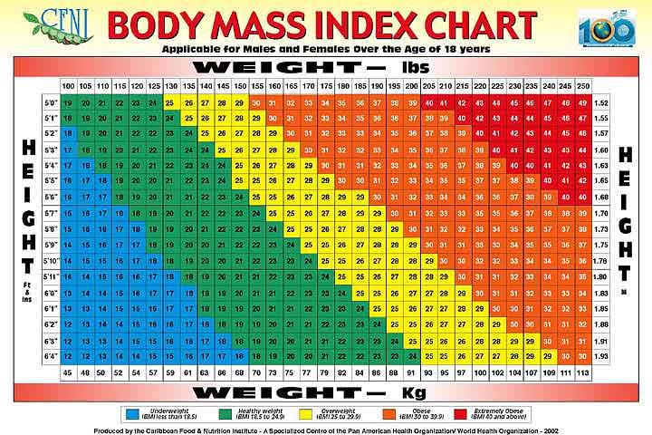 most accurate body mass index calculator