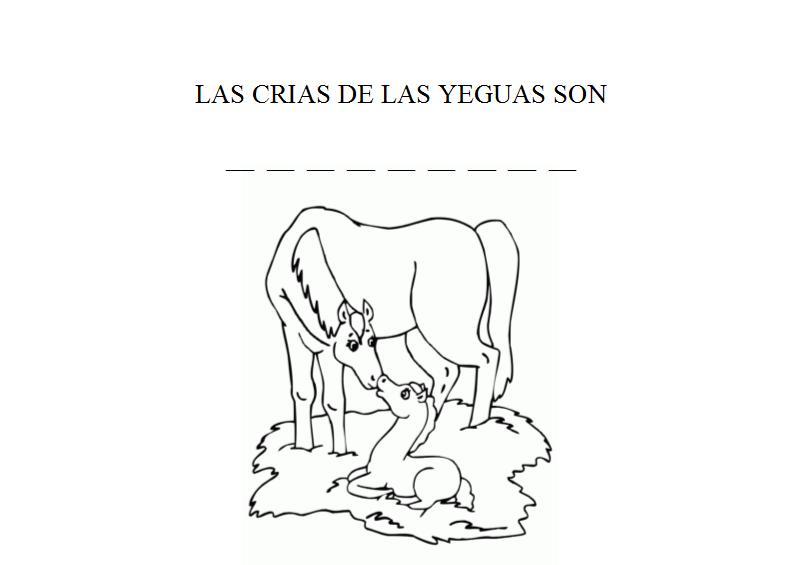 Piruleta colorines: PROYECTO LOS CABALLOS