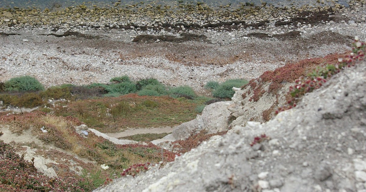 Mountain View School District Pa Craft Fair