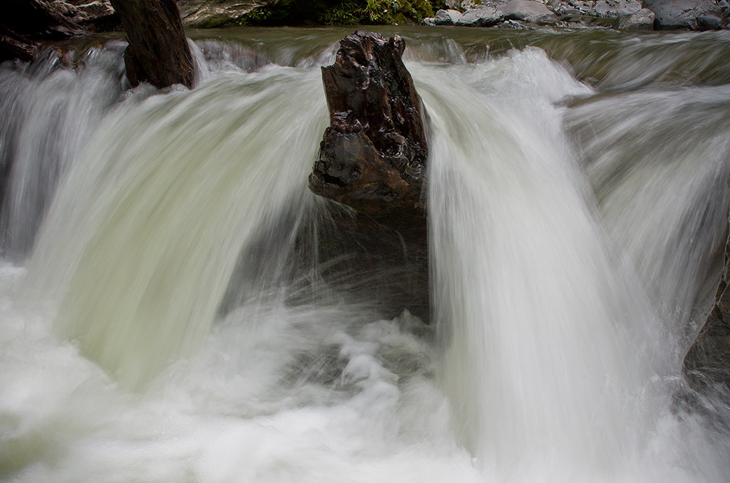 Pourangaki river log