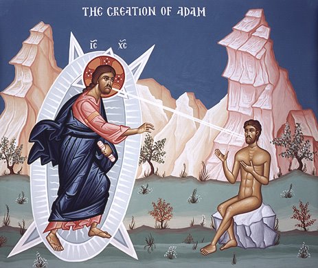 [creation+of+adam.jpg]