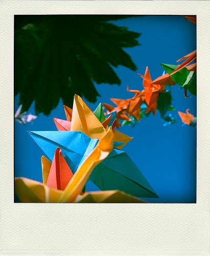 [2853719245_4854e5562d.jpg]