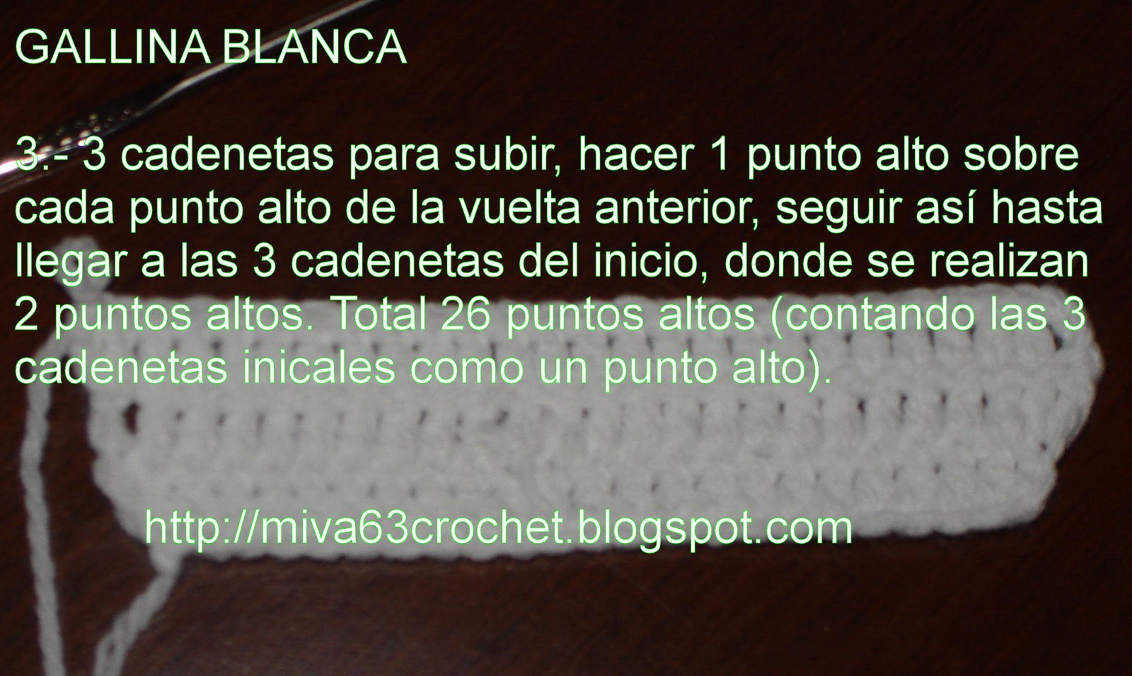 [PAPGALLINAMIVA08+003.jpg]