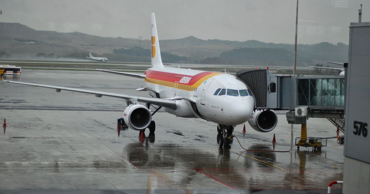 iberia baby bassinet