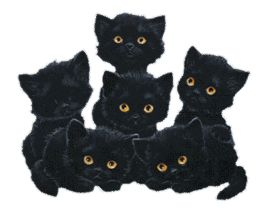 Blackcats