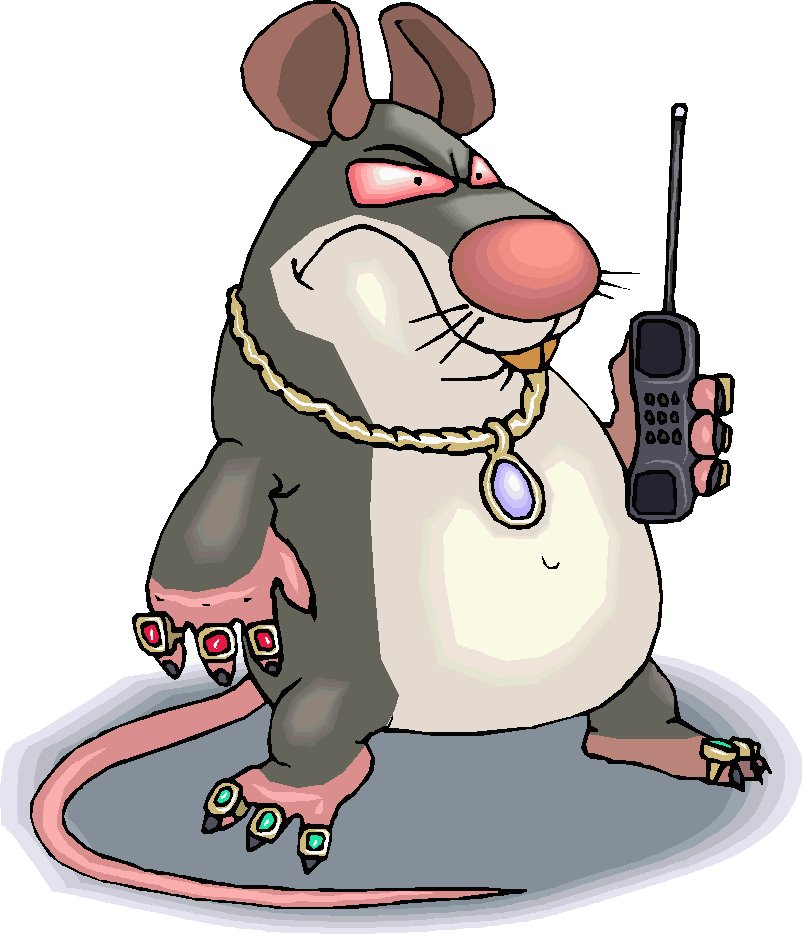 [rat.bmp]