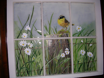 goldfinch in spring on window