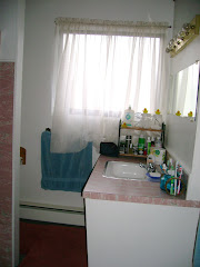 dated pink bathroom