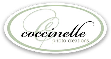 Coccinelle Photo Creations