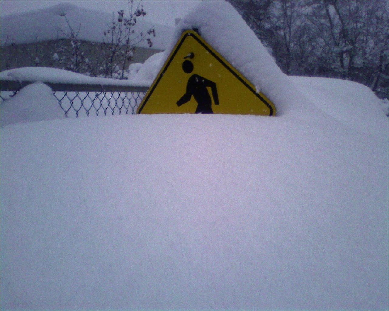 [sign+man+snow.jpg]