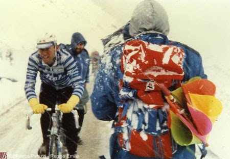 gavia+1988+2.jpg