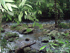 Chachagua River