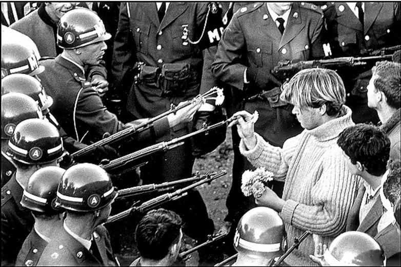 flower_in_gun.jpg