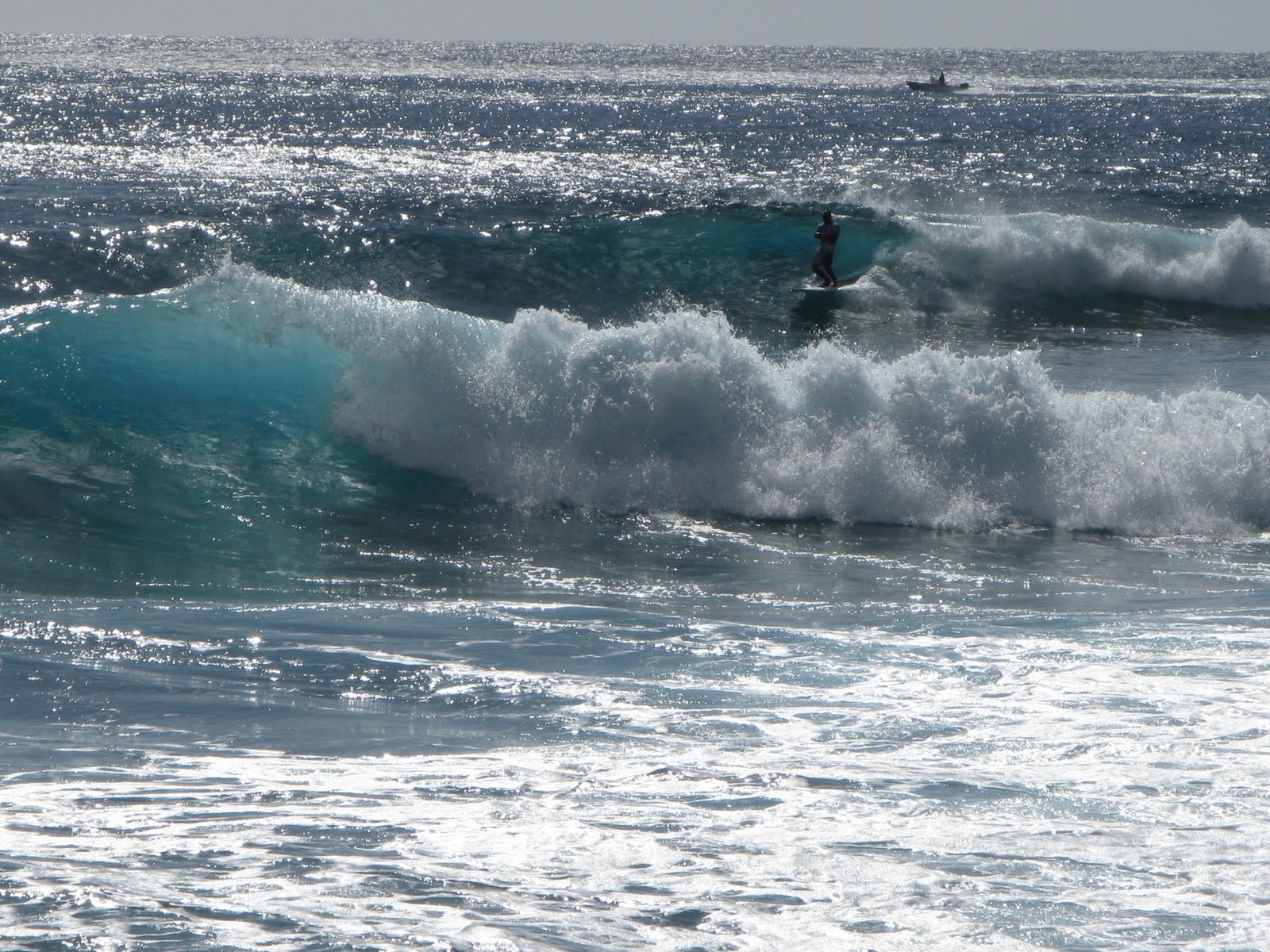 Maile's Blog Urgent Feedback Needed Re Makaha Surfing Beach