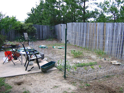 Overview of our garden