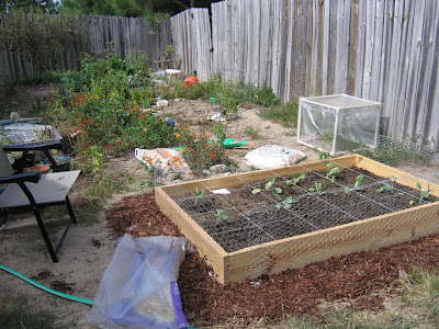 Second raised bed