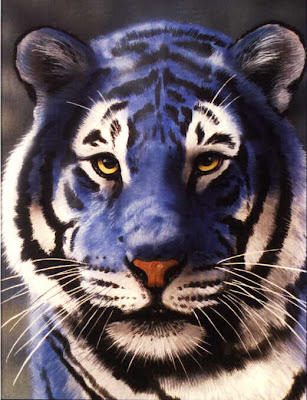 Encountering a tiger at close