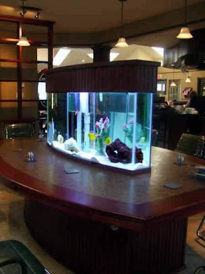 fish aquarium design