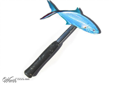 funny photoshopped pictures