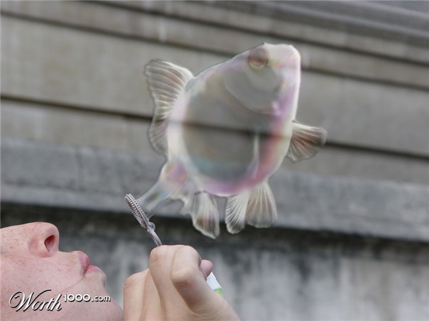 [fishy-photoshopped-23.jpg]