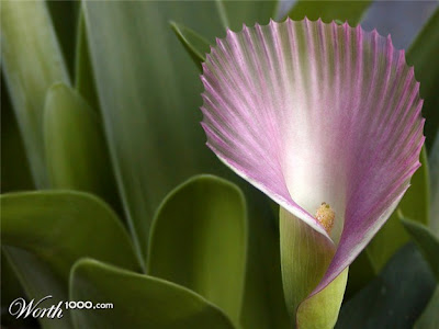 funny photoshopped pictures