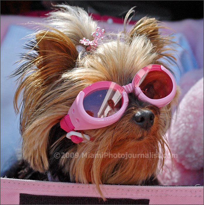 [willieDSC_7940.jpg]