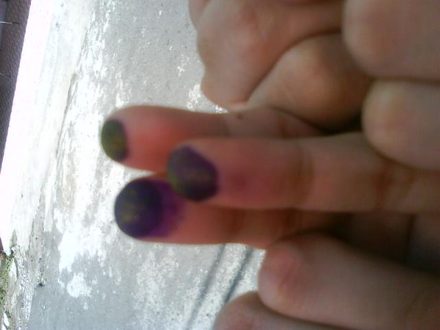 [DSC00975_2-791272.JPG]